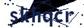 Visual verification code